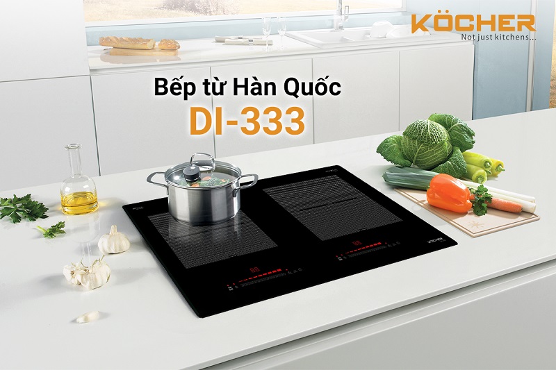 DI-333-1.jpg DI 333 1